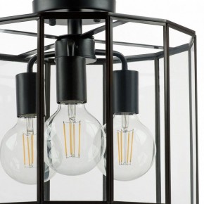 Светильник на штанге Lightstar Genni 798237 в Агрызе - agryz.mebel24.online | фото 4