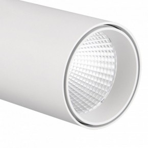 Светильник на штанге Mantra Fuji 7203 в Агрызе - agryz.mebel24.online | фото 4