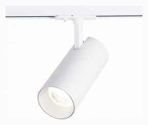 Светильник на штанге ST-Luce Mono ST350.536.30.36 в Агрызе - agryz.mebel24.online | фото 2