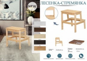 Табурет Стремянка в Агрызе - agryz.mebel24.online | фото 6