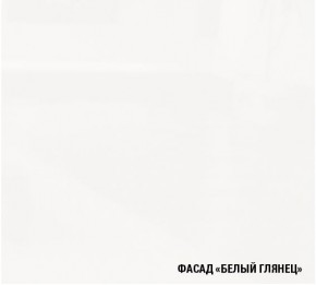 ТЕРЦИЯ Кухонный гарнитур Экстра 5 (3000 мм) в Агрызе - agryz.mebel24.online | фото 6