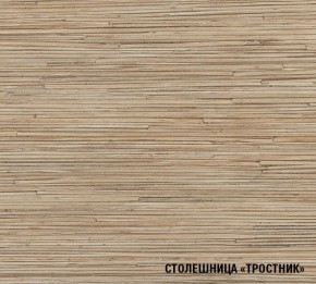 ТОМИЛЛА Кухонный гарнитур Медиум 4 (1400 мм ) в Агрызе - agryz.mebel24.online | фото 6