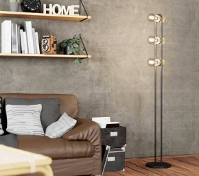 Торшер Eglo ПРОМО Chieveley 43544 в Агрызе - agryz.mebel24.online | фото 2