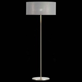 Торшер EVOLUCE Brescia SLE300515-01 в Агрызе - agryz.mebel24.online | фото 3