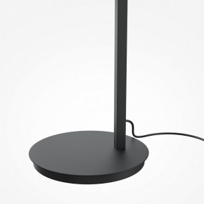 Торшер Maytoni Emphaty MOD363FL-L14B3K в Агрызе - agryz.mebel24.online | фото 5