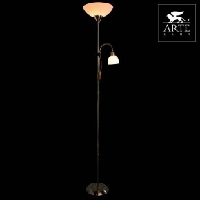 Торшер с подсветкой Arte Lamp Duetto A9569PN-2AB в Агрызе - agryz.mebel24.online | фото 3