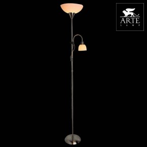 Торшер с подсветкой Arte Lamp Duetto A9569PN-2SS в Агрызе - agryz.mebel24.online | фото 3