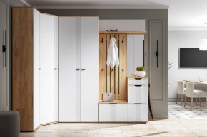 Тумба для обуви Эмилия ЭЛ-4 в Агрызе - agryz.mebel24.online | фото 5