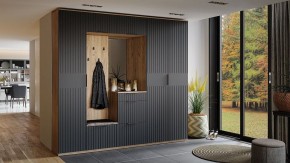 Тумба для обуви Хилтон Исп 2.1 в Агрызе - agryz.mebel24.online | фото 6
