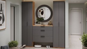 Тумба для обуви Хилтон Исп.2.3 в Агрызе - agryz.mebel24.online | фото 3