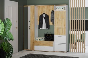 Тумба для обуви НМ 013.25 "Санти" (Белый/Крафт Золотой) в Агрызе - agryz.mebel24.online | фото 3