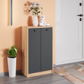 Тумба для обуви Рино в Агрызе - agryz.mebel24.online | фото 3