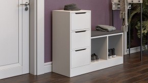 Тумба для обуви Тип 14 в Агрызе - agryz.mebel24.online | фото 5