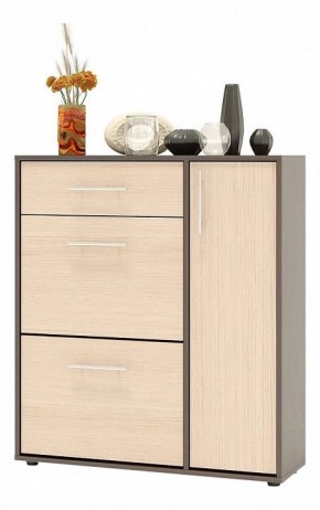 Тумба для обуви ТП-4 в Агрызе - agryz.mebel24.online | фото