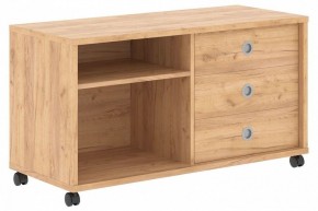 Тумба комбинированная Born B 202A в Агрызе - agryz.mebel24.online | фото