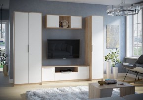 Тумба под ТВ Нордик в Агрызе - agryz.mebel24.online | фото