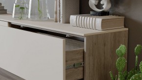 Тумба под ТВ Порто СМ-393.03.011 в Агрызе - agryz.mebel24.online | фото 6