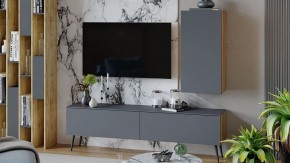Тумба под ТВ Порто СМ-393.03.011 в Агрызе - agryz.mebel24.online | фото 5