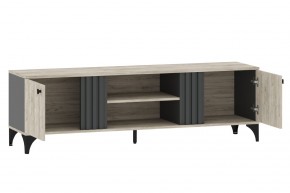 Тумба ТВА НМ 040.28 "Отис" в Агрызе - agryz.mebel24.online | фото 2
