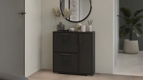 Тумбочка для обуви Тип 15 в Агрызе - agryz.mebel24.online | фото 5