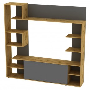 ТВ стенка TV40 (ДВ-Графит) в Агрызе - agryz.mebel24.online | фото