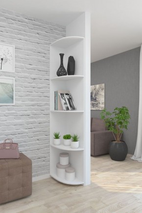 Угловой элемент ЛДСП 1 кат. в Агрызе - agryz.mebel24.online | фото