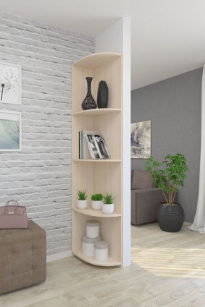 Угловой элемент ЛДСП 1 кат. в Агрызе - agryz.mebel24.online | фото 4
