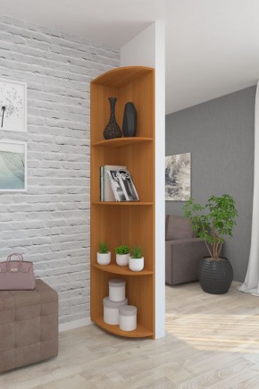 Угловой элемент ЛДСП 1 кат. в Агрызе - agryz.mebel24.online | фото 6