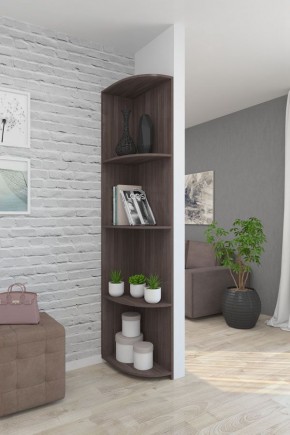 Угловой элемент ЛДСП 2 кат. в Агрызе - agryz.mebel24.online | фото 6