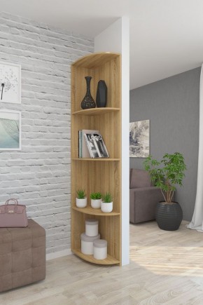 Угловой элемент ЛДСП 2 кат. в Агрызе - agryz.mebel24.online | фото 7