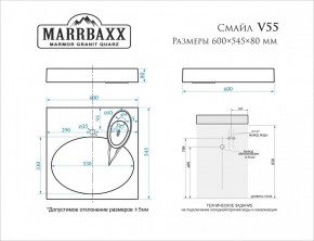 Умывальник над стиральной машиной (600*545*80) Смайл V55D1 (белый) с кронштейном без сифона (V55D1) в Агрызе - agryz.mebel24.online | фото 2
