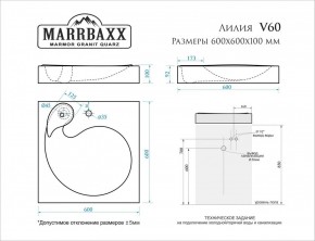 Умывальник над стиральной машиной (600*600х100) Лилия V60 (белый) с кронштейном без сифона (V60) в Агрызе - agryz.mebel24.online | фото 2
