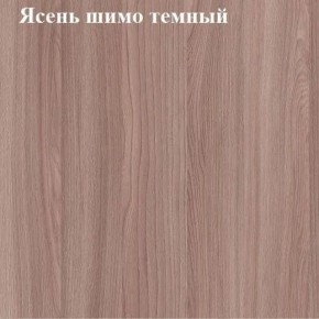 Вешалка для одежды (Ясень шимо темный) в Агрызе - agryz.mebel24.online | фото 2