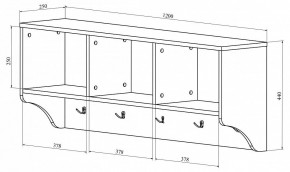 Вешалка-полка ДримСтар ДС-30 в Агрызе - agryz.mebel24.online | фото 3