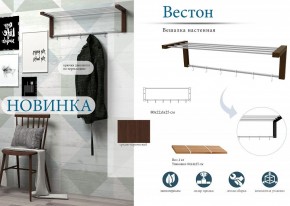 Вешалка-полка Вестон в Агрызе - agryz.mebel24.online | фото 3